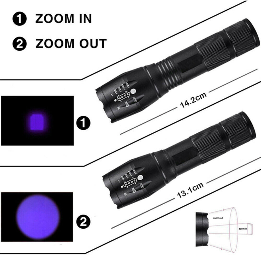 Wholesale Bulk Zoom UV flashlight UV light germ detector Ultraviolet 395nm find Urine & Bodily Fluids lure Scorpion Blacklight