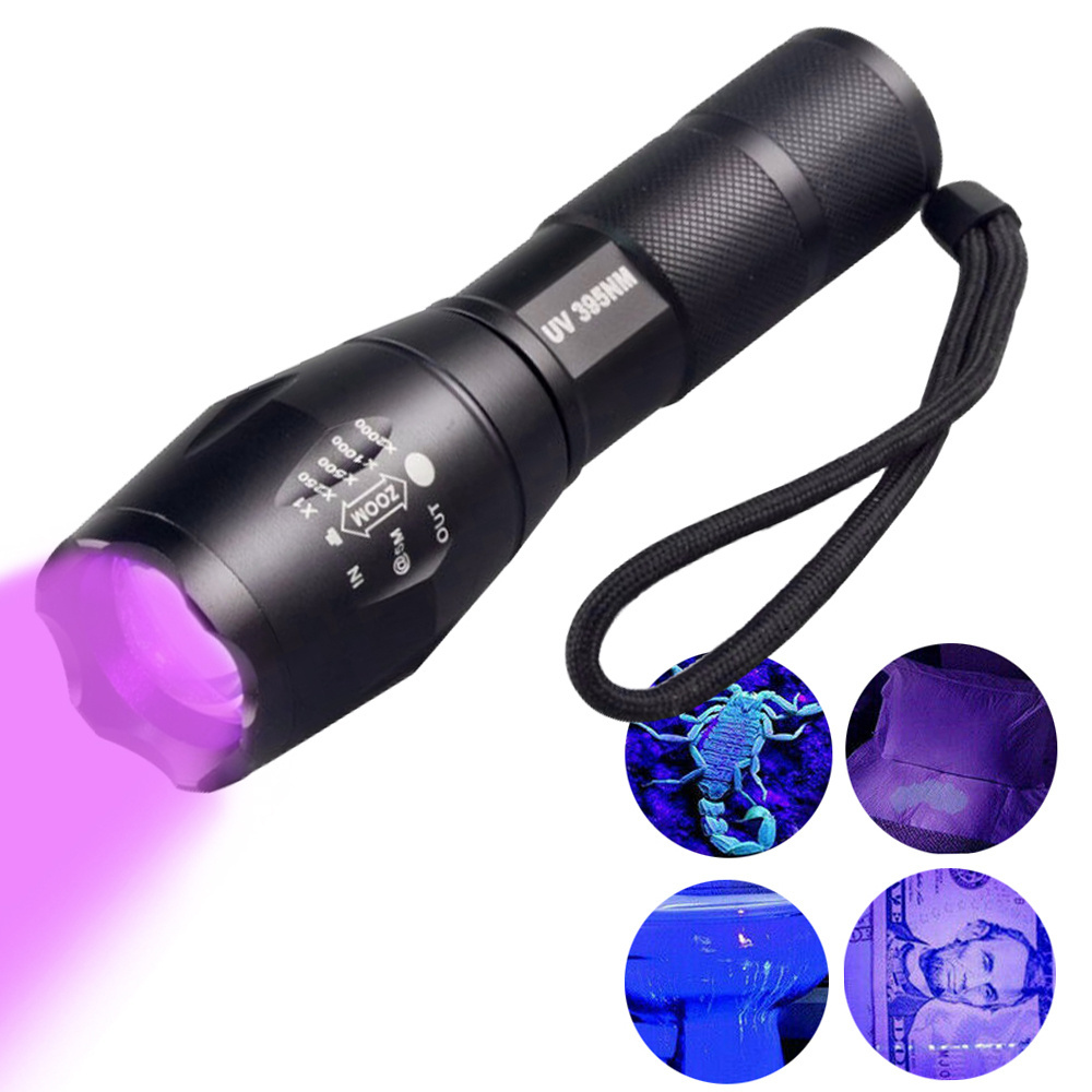 Wholesale Bulk Zoom UV flashlight UV light germ detector Ultraviolet 395nm find Urine & Bodily Fluids lure Scorpion Blacklight