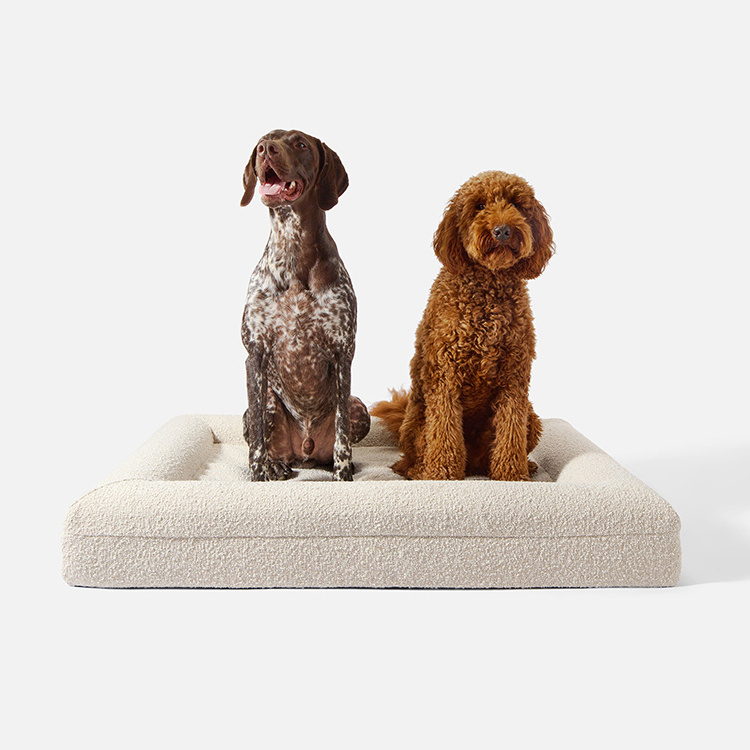 Premium Factory Wholesale Popular Boucle Foam Dog Bed Pet Orthopedic Bed with Washable Removable Cover