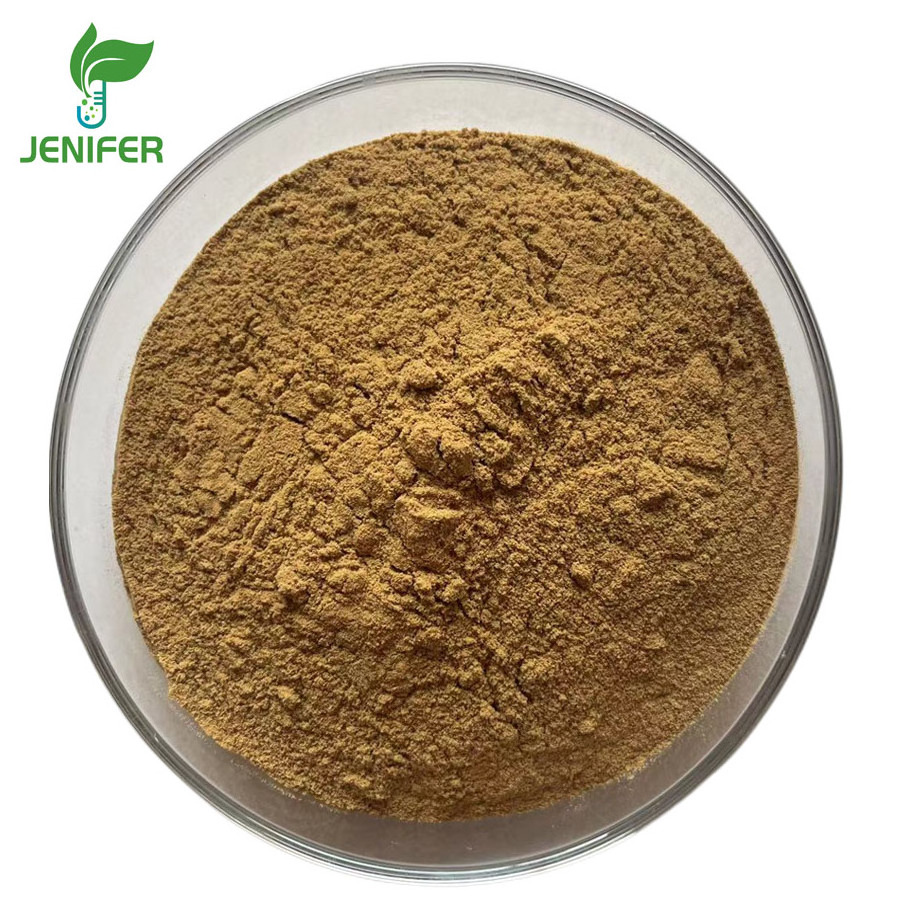 Natural mushroom extract Cas 37339-90-5 UV 30% Lentinan