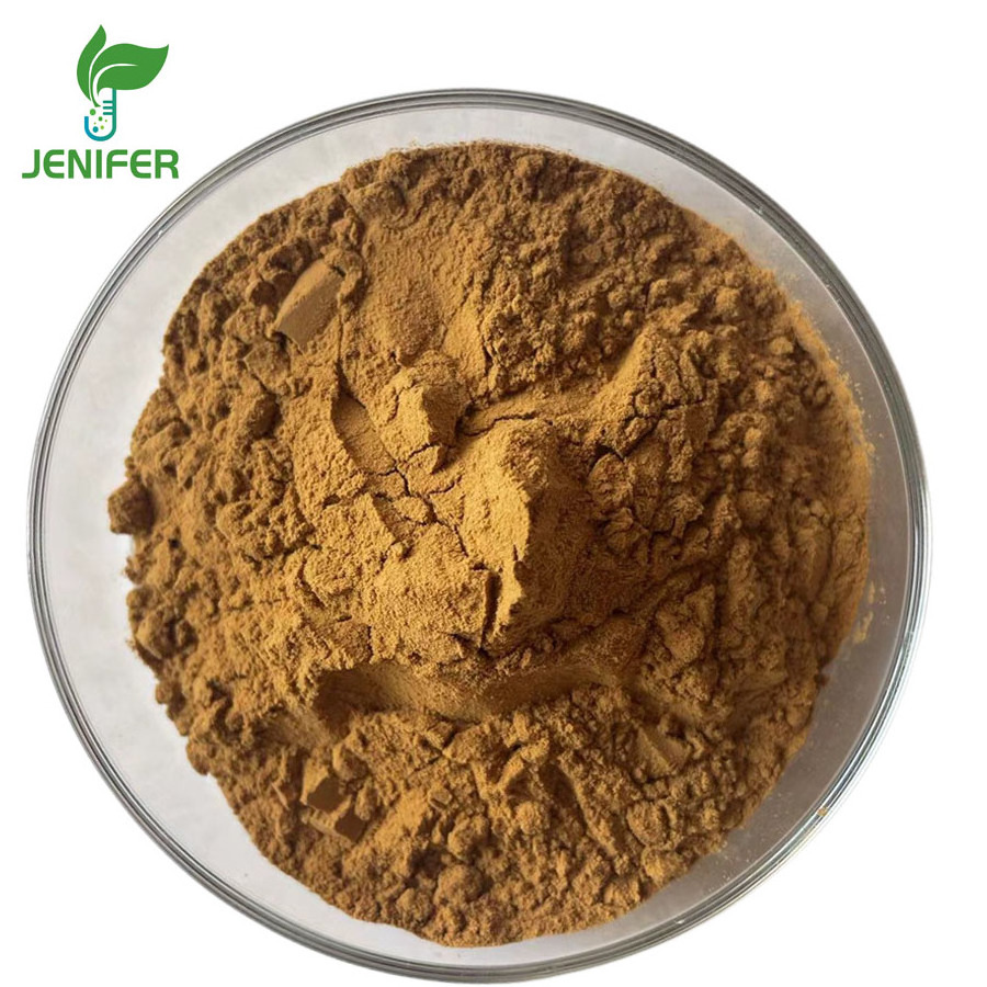 Ginkgo biloba extract high quality ginkgo biloba leaf extract powder capsules