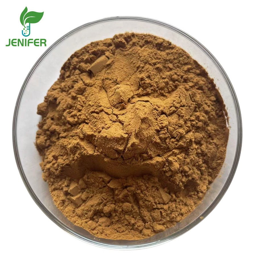 Ginkgo biloba extract high quality ginkgo biloba leaf extract powder capsules