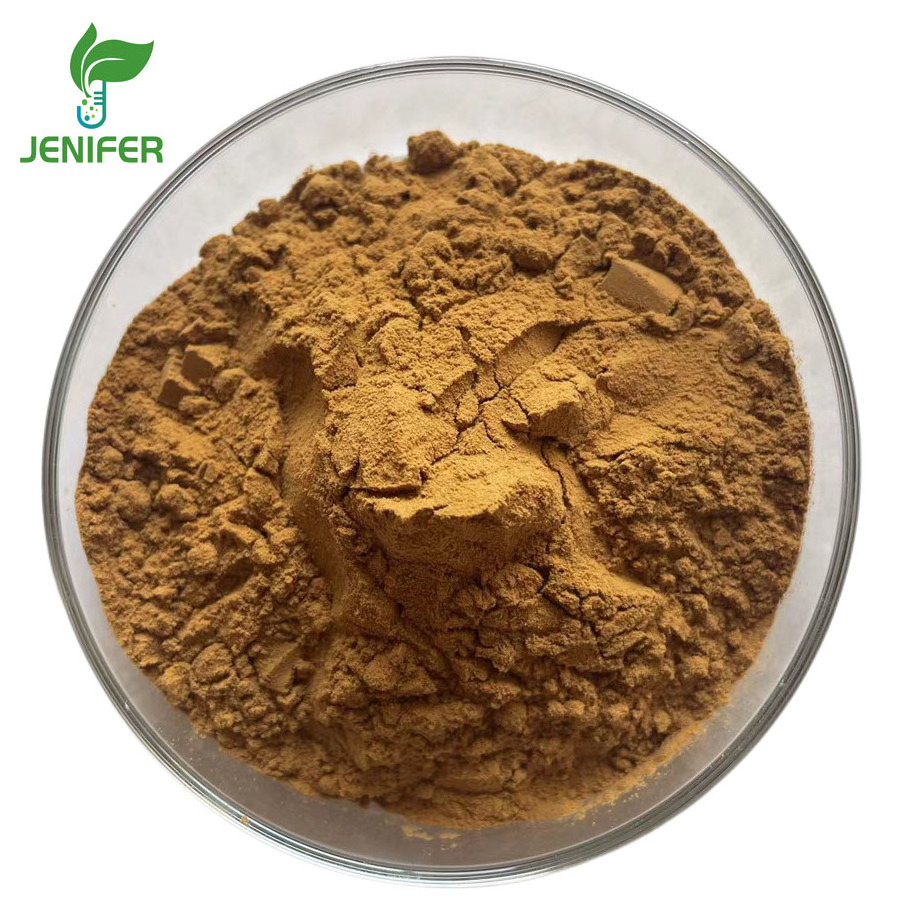 Ginkgo biloba extract high quality ginkgo biloba leaf extract powder capsules