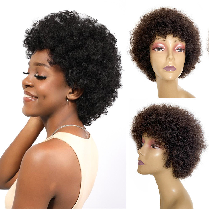 Afro Kinky Curly Wigs Short Cut Wig 100% Brazilian Curly Human Hair Human Wig For Black Women