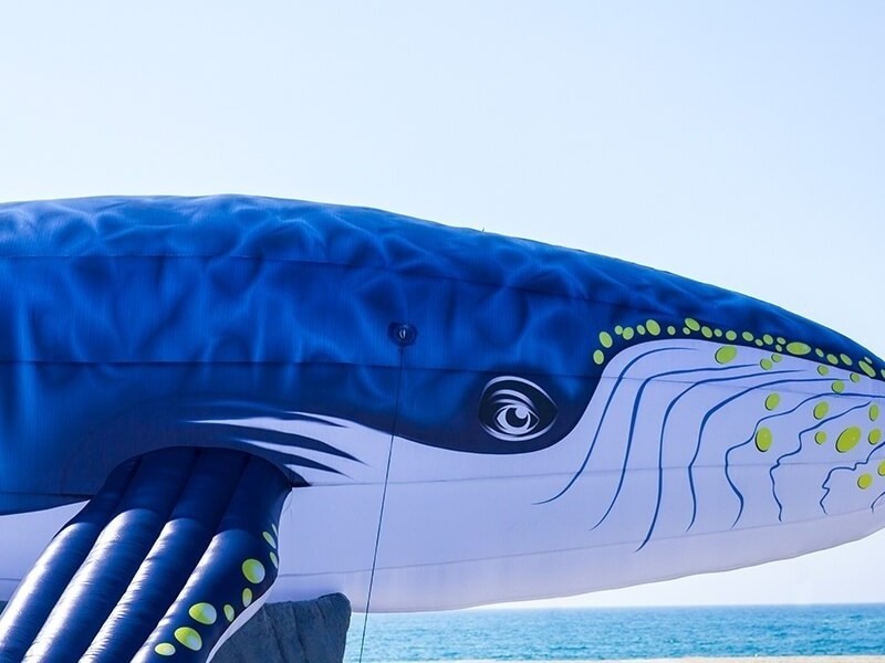 Lighting customized flying inflatable whale parade balloon for advertising