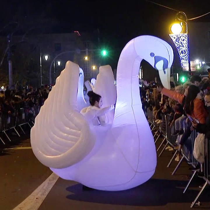 Parade Performance Walking Inflatable Swan Costume with Light for Xmas