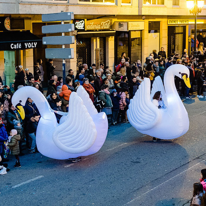 Parade Performance Walking Inflatable Swan Costume with Light for Xmas