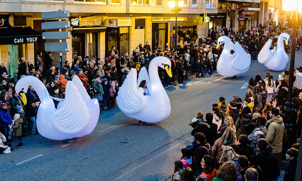 Parade Performance Walking Inflatable Swan Costume with Light for Xmas