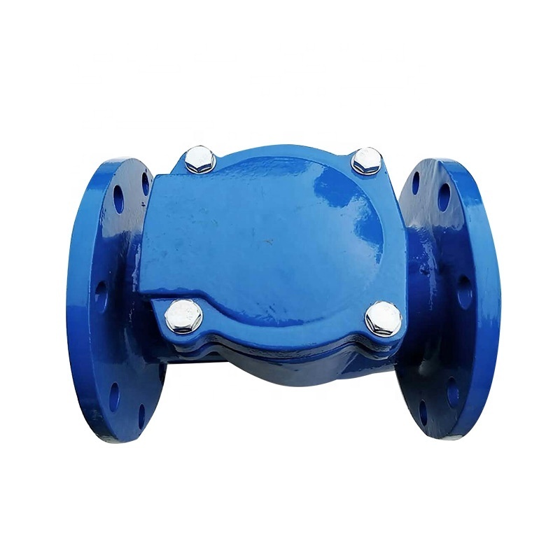 Rubber Disc Hydraulic General Swing Check Valve Wafer Check Valve Water Standard Ductile Iron 3