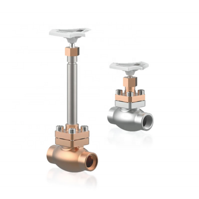 Cryogenic Globe Valve Cryogenic Gas Control Valve Extended Stem Globe Valve