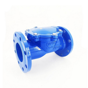 Rubber Disc Hydraulic General Swing Check Valve Wafer Check Valve Water Standard Ductile Iron 3" Flapper Type Check Valve Flange