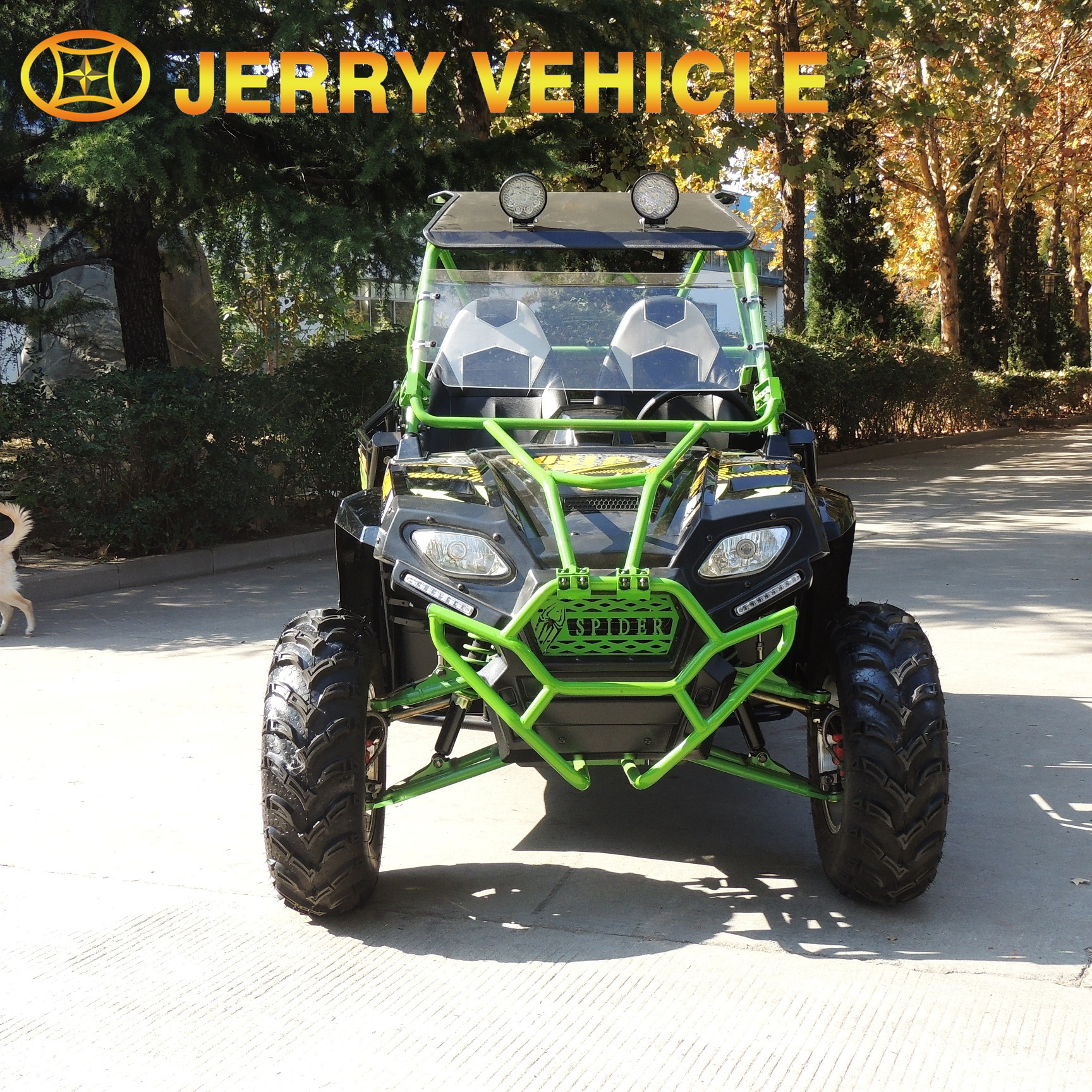 Jerry Vehicle 250cc utility vehicle youth side by side street legal 2 seater UTV