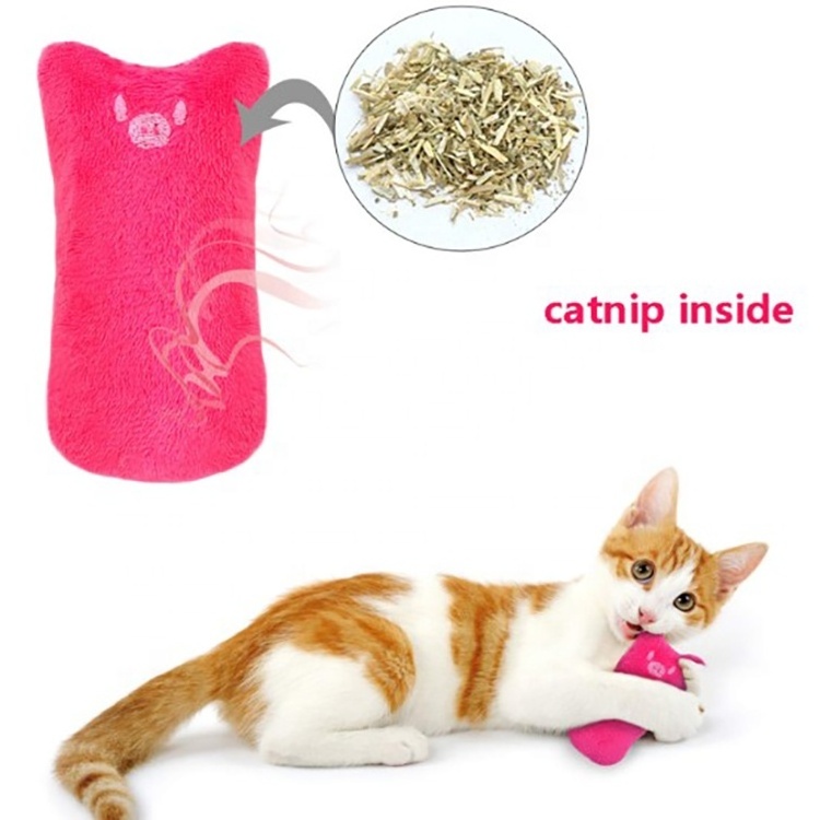 5 Pack Cat Catnip Toys Set,Bite Resistant Plush Cat Chewing Toy with Catnip for Teeth Cleaning