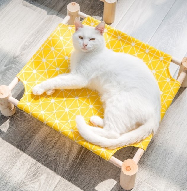 Comfortable Safe Pet Dog Cat Bed Simple Installation Wood Non-slip Washable Dog Camp Bed