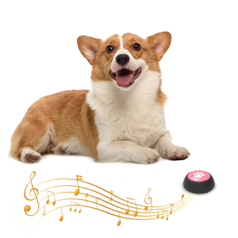 Recordable Programmable Sound Button  Craft Novelty Pet Voice Music Talking Sound Button