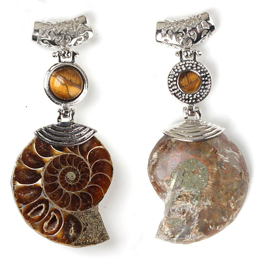 Big Natural Ammonite Slice Shell Pendant Jewellery