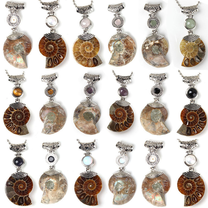 Big Natural Ammonite Slice Shell Pendant Jewellery