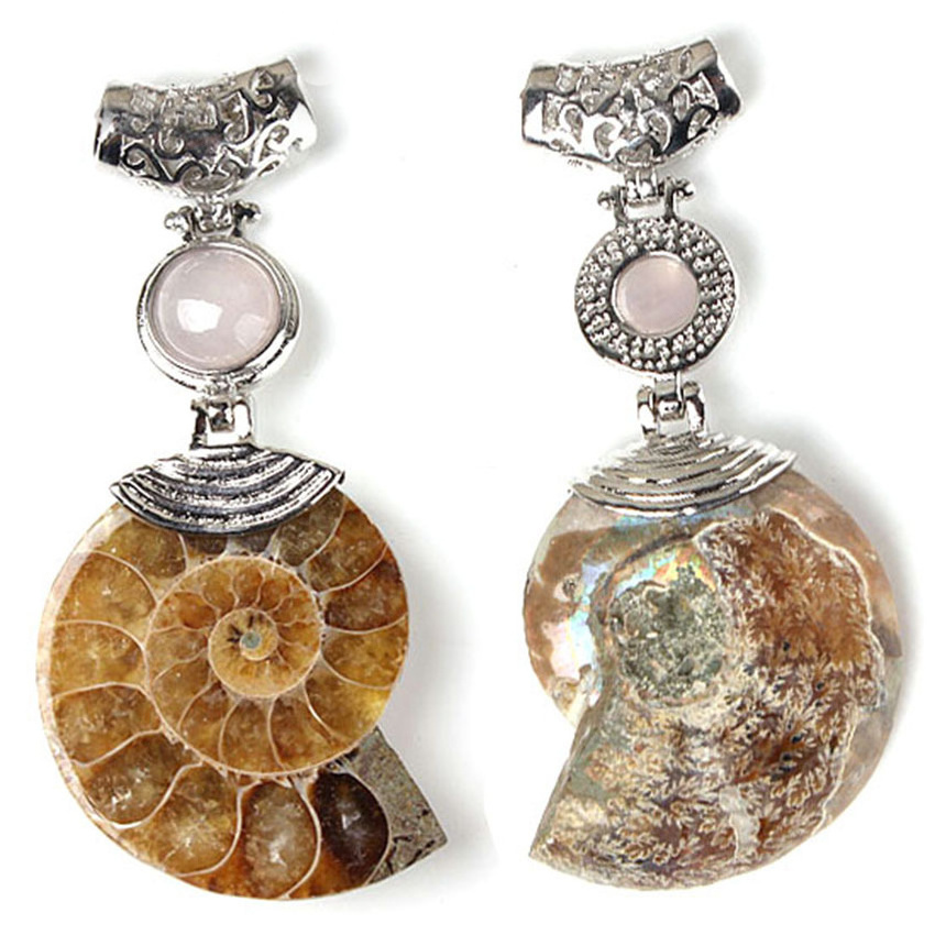 Big Natural Ammonite Slice Shell Pendant Jewellery