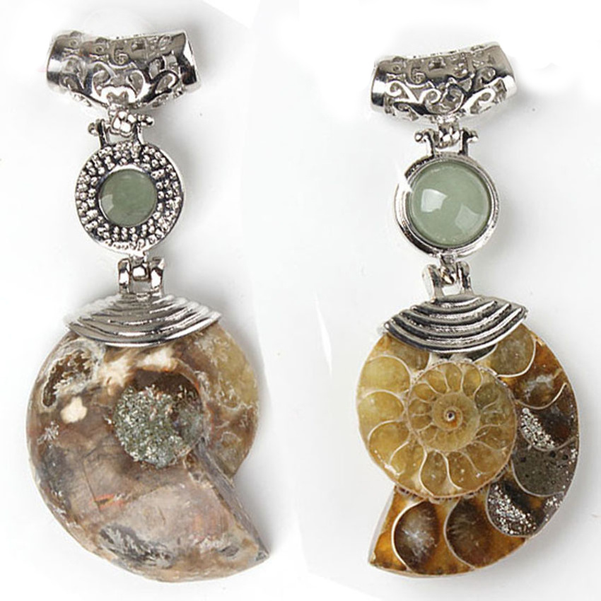 Big Natural Ammonite Slice Shell Pendant Jewellery