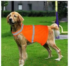 Reflective dog hunting vest safety vest