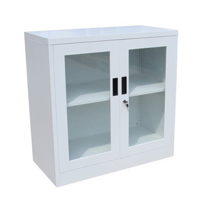 Small 2 Doors Glass Glass Front Locking Low Storage Cabinet