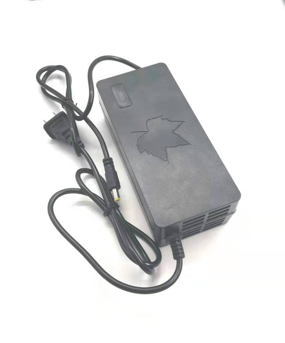 CE ROHS FCC   Intelligent lithium charger for electric bike