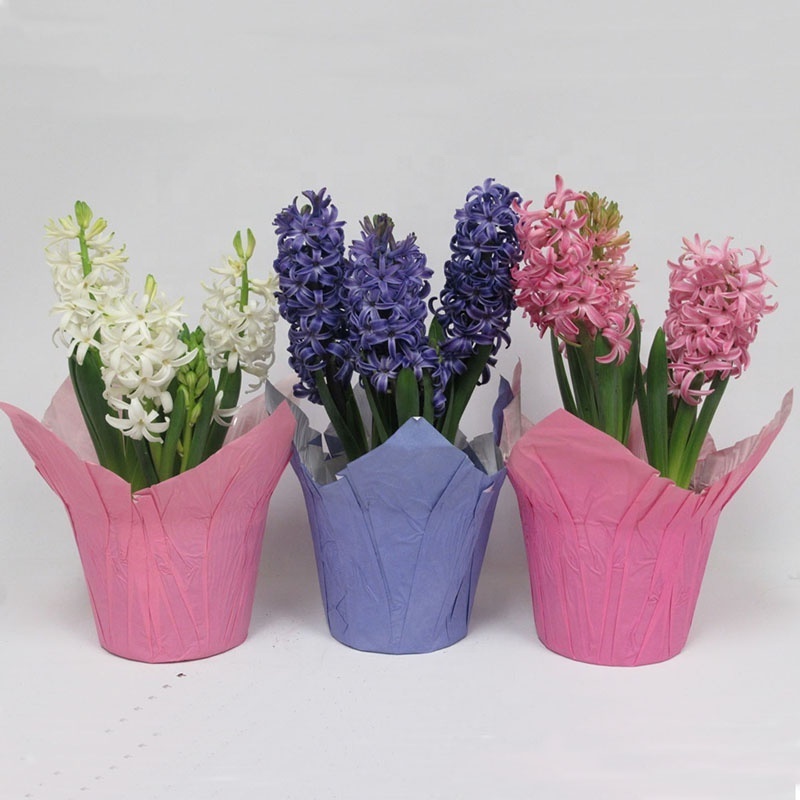 New Design Soild Color Foil Flower Pot Cover Plastic Kraft Paper Plant Pot Cover Flower Pot Covers