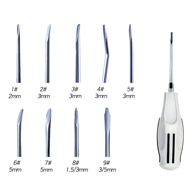 Dental Luxating Lift Elevator Stainless Steel Minimally Invasive Curved Root Elevators Dentist Surgical Instrument