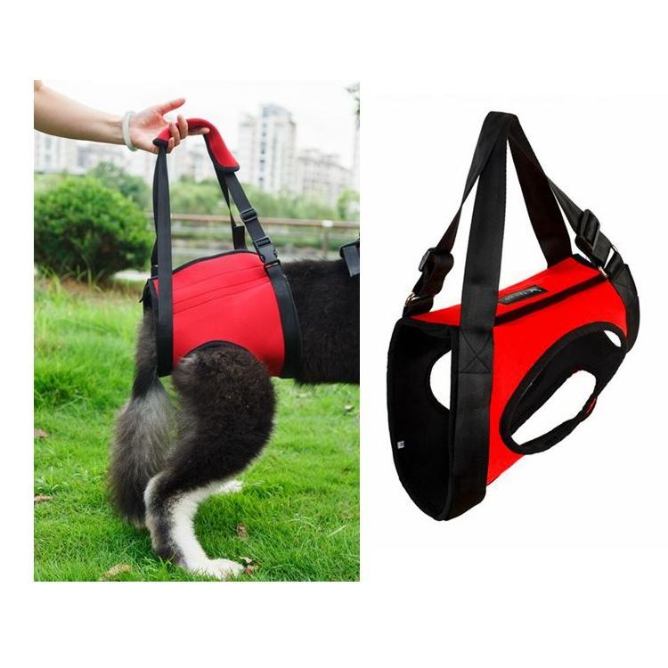 Rear Legs Design Neoprene best selling pet dog sling rehabilitation harness