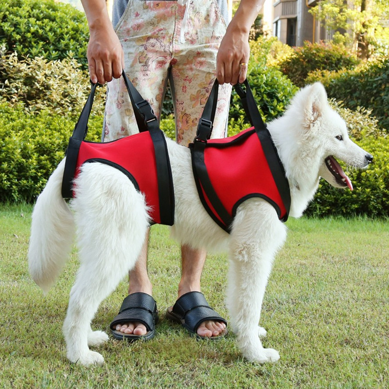 Front and Hind Legs Pet Dog Support Harness Sling