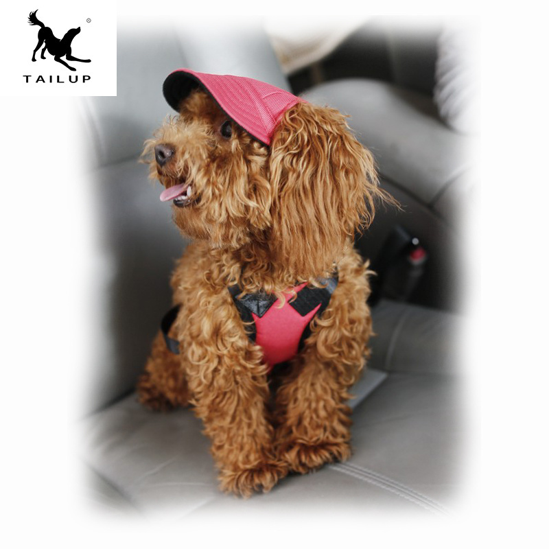 2019 Best Sellers Pet Hair Accessories Dog Hat for small medium and large dogs