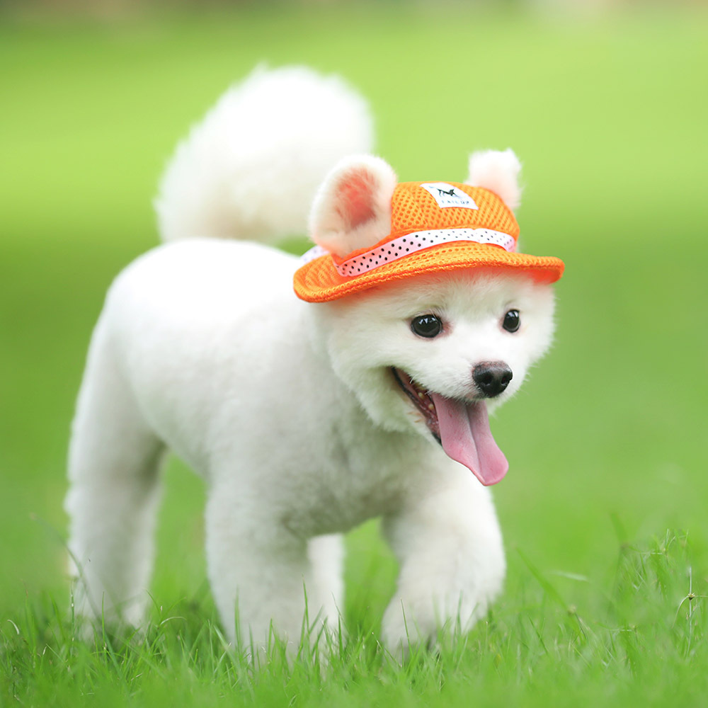 TAIL UP Round Brim Pet Cap Visor Hat Pet Dog Mesh Sun Cap with Ear Holes for Small Dogs