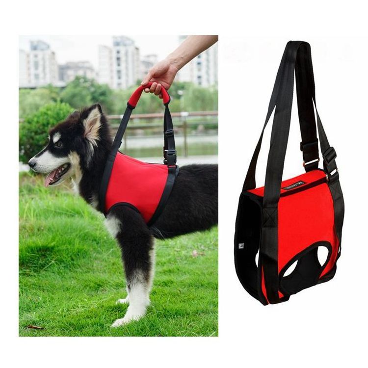 Rear Legs Design Neoprene best selling pet dog sling rehabilitation harness