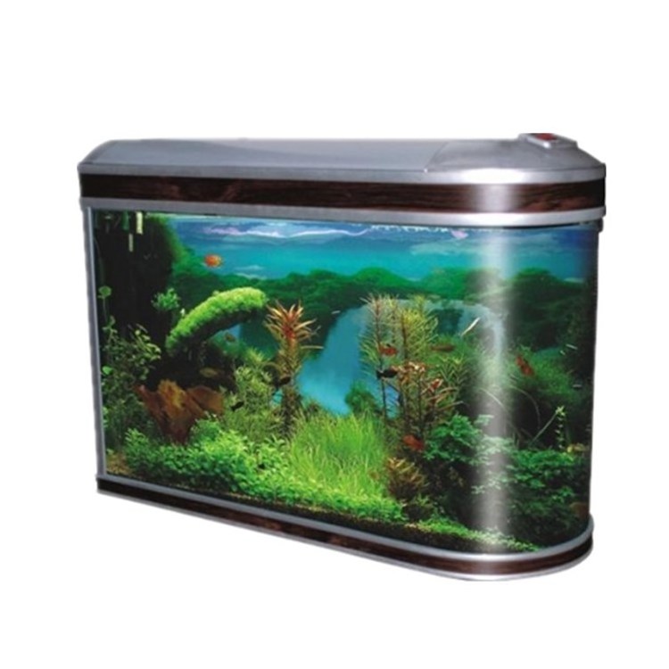 High Quality Large Curved Glass Aquarium