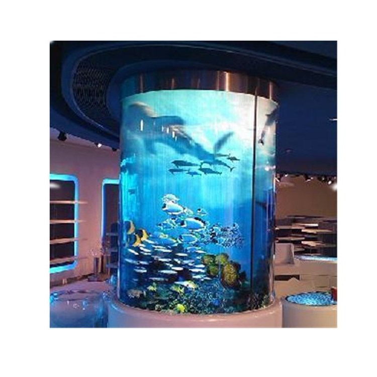 High Quality Large Curved Glass Aquarium