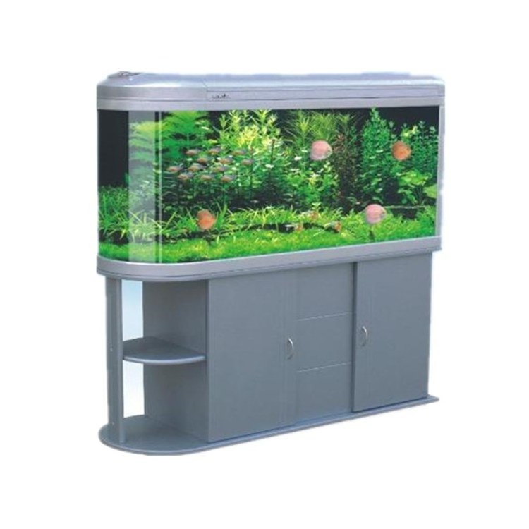 High Quality Large Curved Glass Aquarium