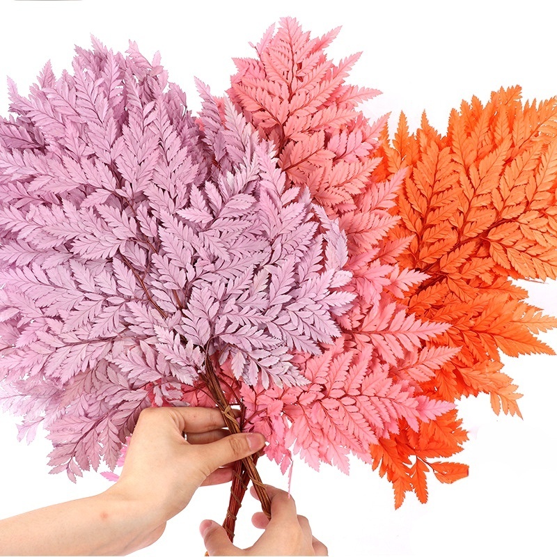 High Quality Flowers Arrangement Decorative Materials Preserved Plant Alpine Fern Leaf