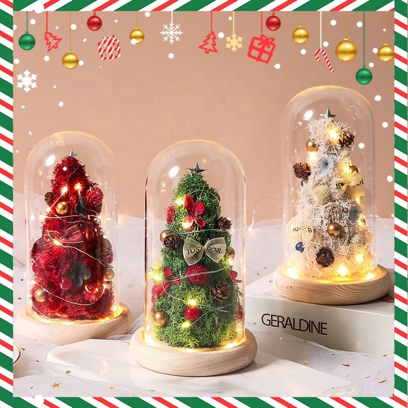 11*19cm preserved flower tree in glass dome with LED string light battery operated Mini Preserved Rose Christmas tree