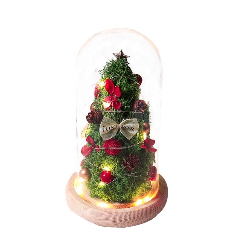 11*19cm preserved flower tree in glass dome with LED string light battery operated Mini Preserved Rose Christmas tree