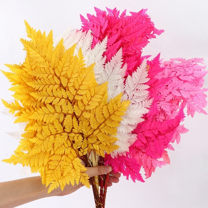 High Quality Flowers Arrangement Decorative Materials Preserved Plant Alpine Fern Leaf