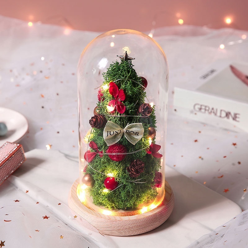 11*19cm preserved flower tree in glass dome with LED string light battery operated Mini Preserved Rose Christmas tree