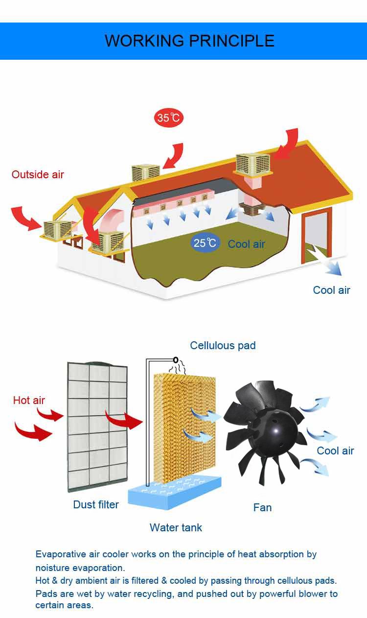 JHCOOL New Air Curtain Large Airflow Ceiling Ventilation Fan Heavy Duty Cooler Industrial 18000cmh Evaporative Air Cooler