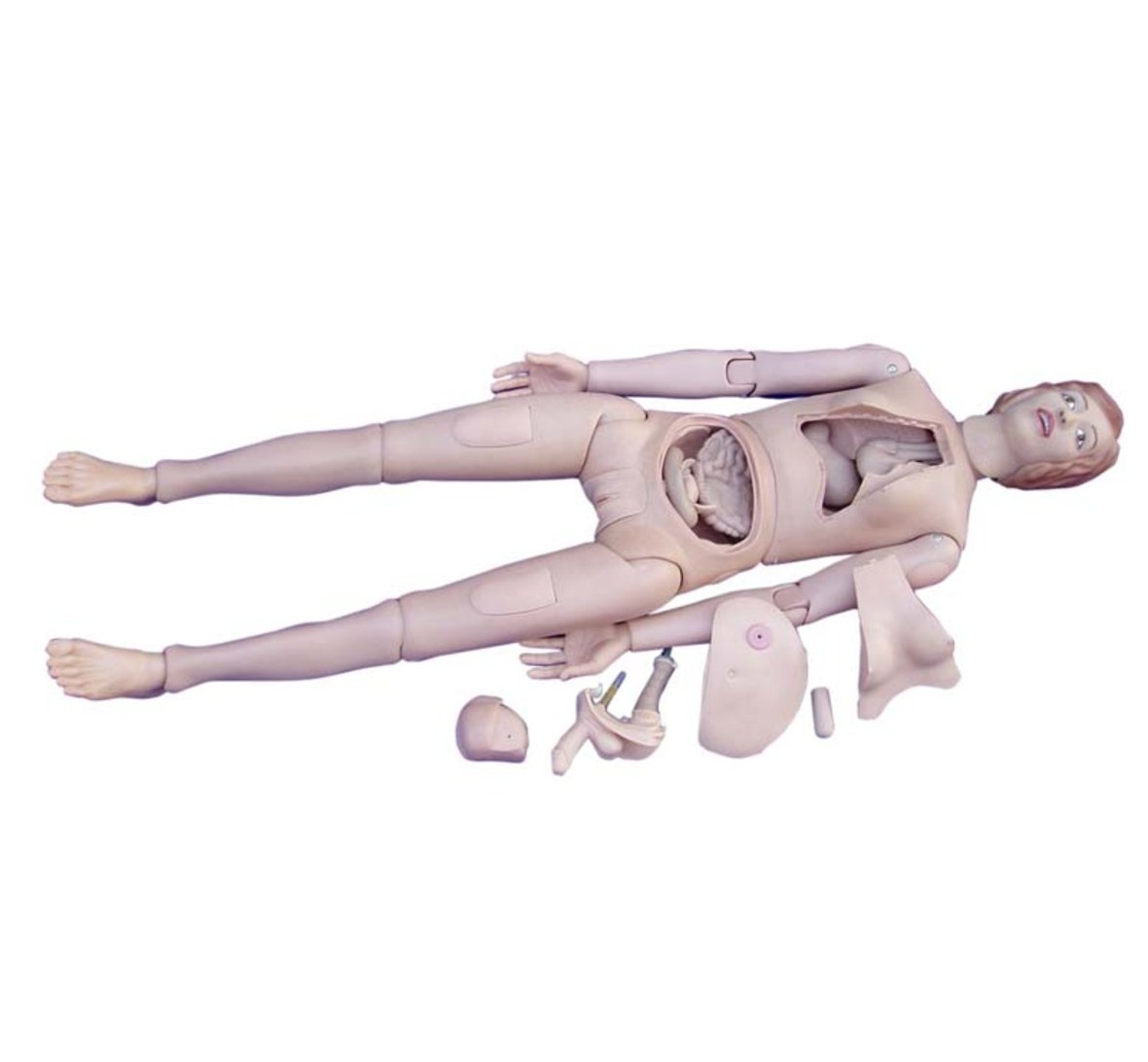 High Quality PVC Medical Chest Anatomical Structure Teaching First Aid Nursing Nurse Training Female Doll With Internal Organs