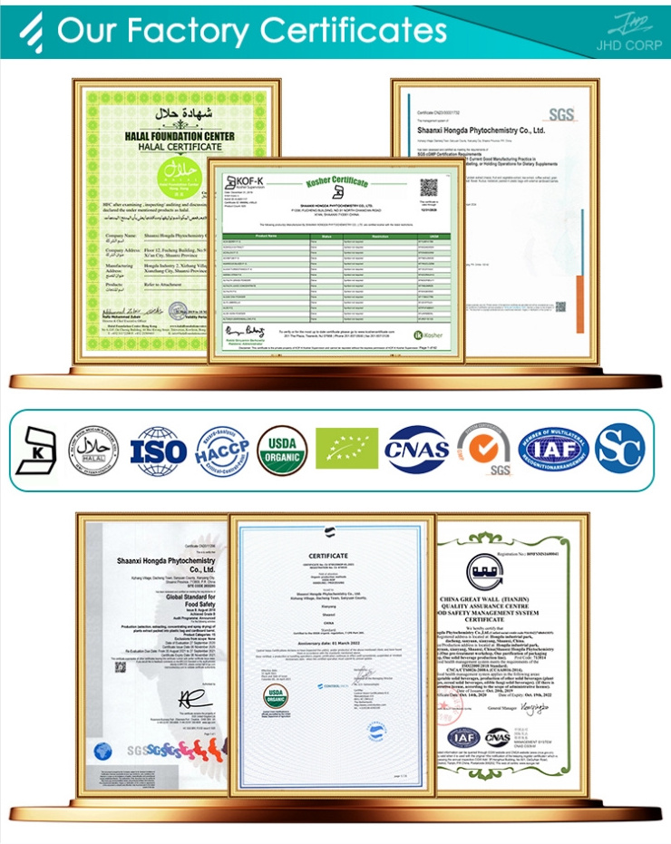 JHD Wholesale Emblica Officinalis Extract Phyllanthus Emblica Extract Amla Fruit Powder Extract