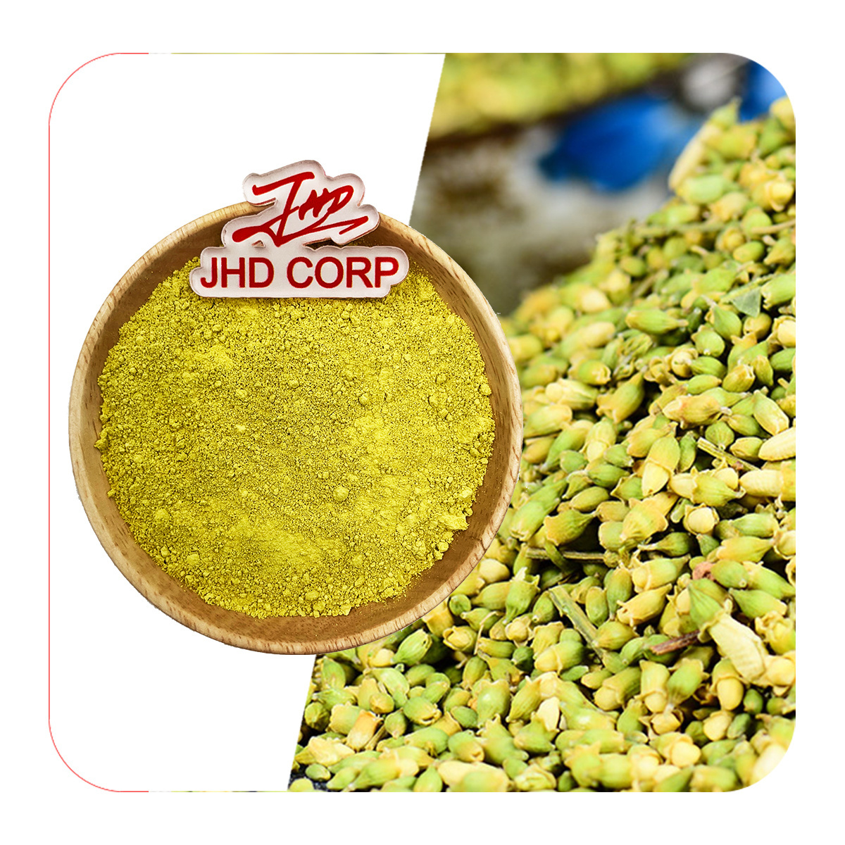 Factory Directly Supply Quality Pure Sophora Japonica Flower Bud Extract 98% Quercetin Powder