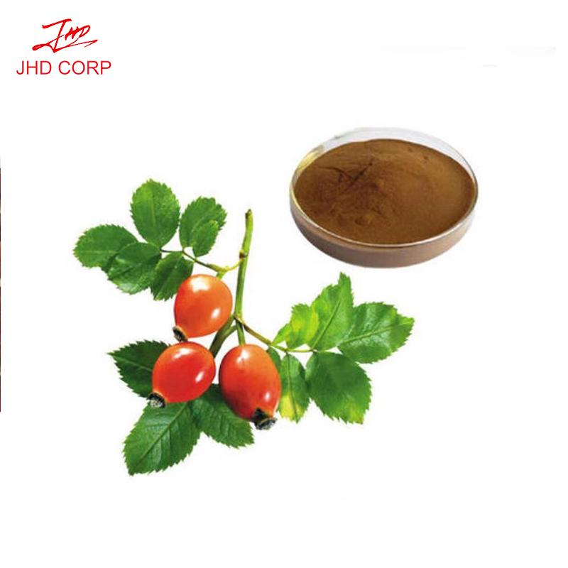 Free Sample Rosa Canina Powder Rose Hip Extract with Vitamin C