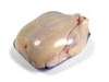 Frozen Meat & Hen Chicken Wings Packaging Use Thermoforming Films and Bags