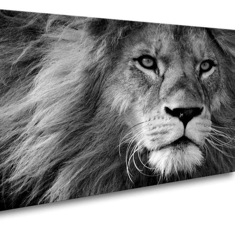 Wholesale Framed Grey Lion Canvas painting Motivational Wall Art Decor for Home