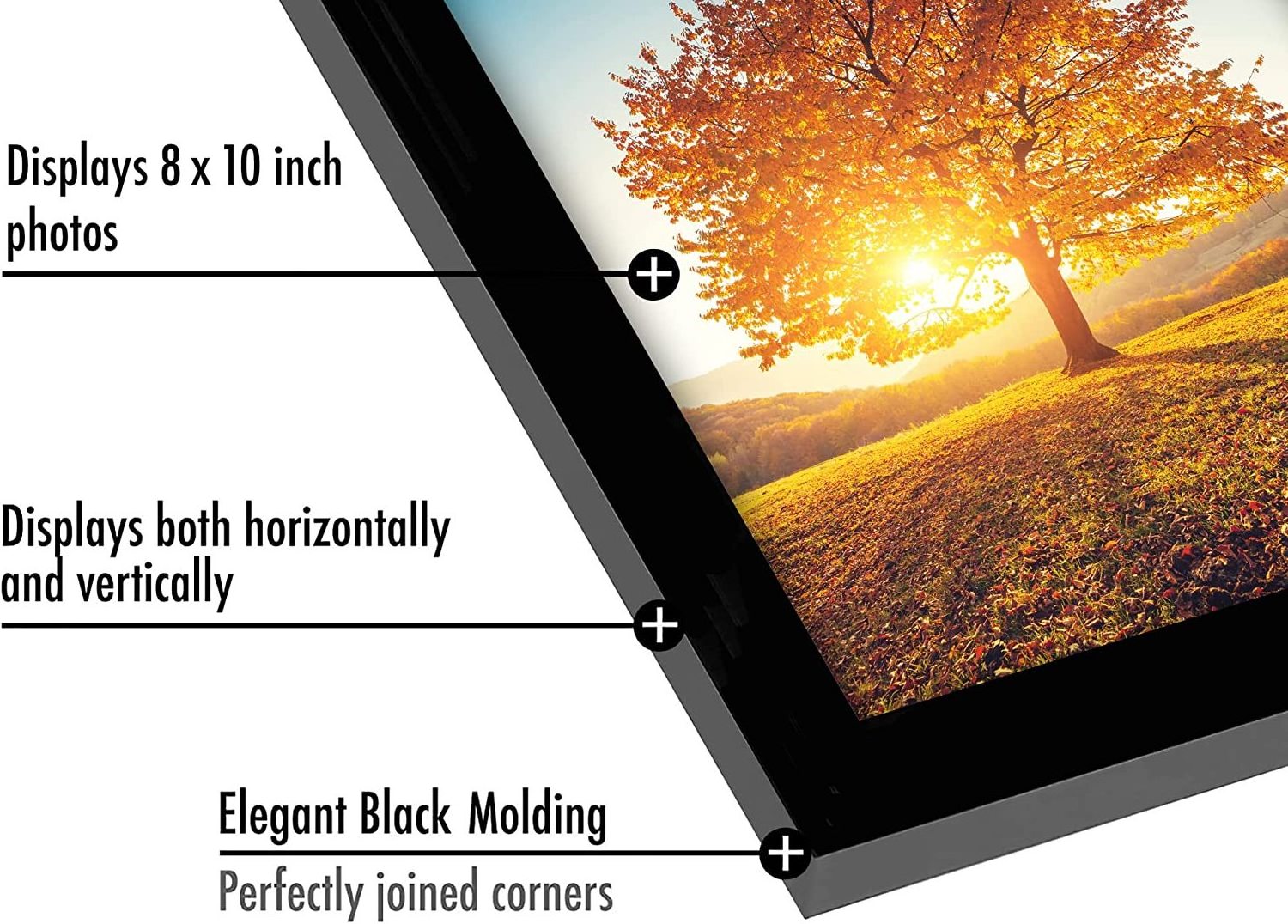 High quality wholesale Horizontal and Vertical Formats for Wall 8x10 Picture Frame in Black