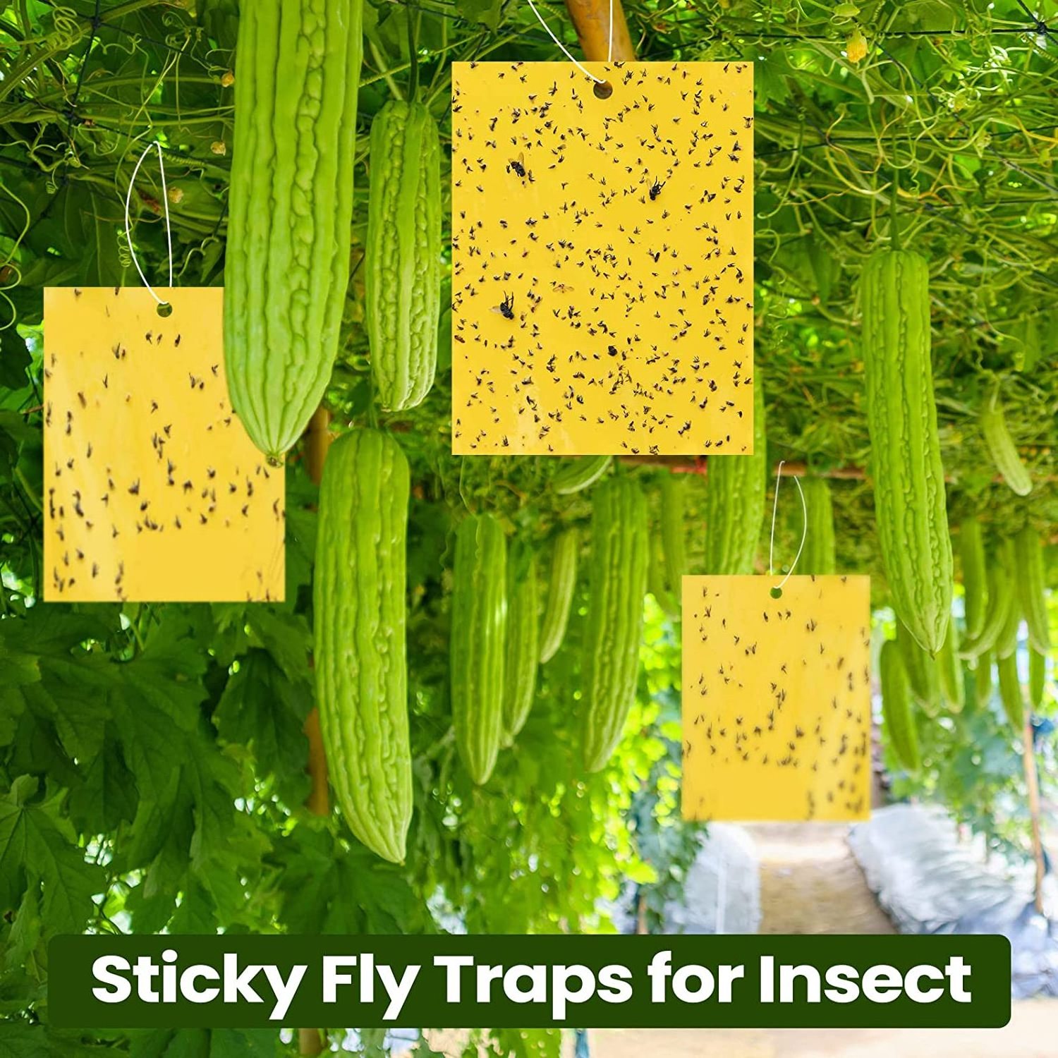 2023 Strong Flies Traps Bugs Sticky Board Insects Pest Killer Outdoor Disposable Hanging Fly Trap for Aphids Fungus